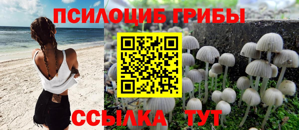 Псилоцибиновые грибы Cubensis  Псилоцибиновые грибы MAGIC MUSHROOMS  Выборг  Вход с VPN 
