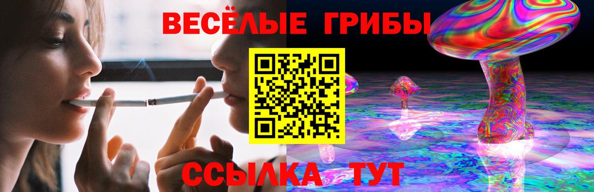 Галлюциногенные грибы Cubensis Выборг