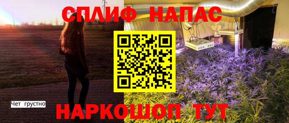 МАРИХУАНА гибрид  Каннабис AK-47  Вход с VPN  Выборг  Каннабис VHQ 